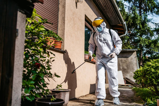 Best Pest Control Near Me  in Skiato, OK