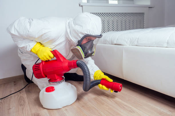 Best Best Pest Control Companies  in Skiato, OK