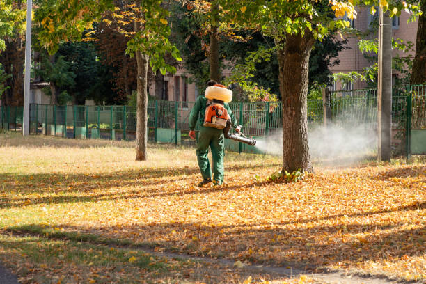 Best Pest Control for Businesses  in Skiato, OK