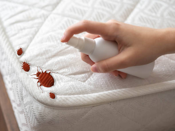 Best Flea Control Services  in Skiato, OK